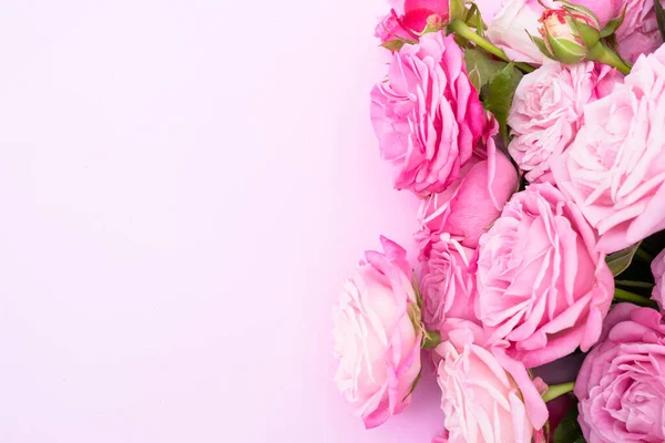 Rosas Rosadas Sobre Delicado Fondo Rosa Concepto Amor Boda Copiar —  Fotos de Stock