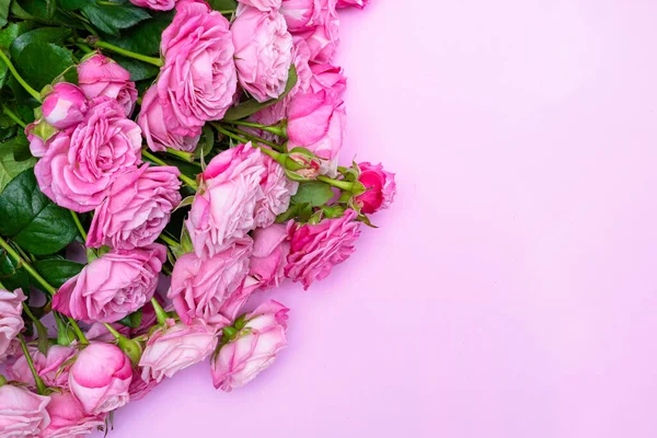 Rosas Rosadas Sobre Delicado Fondo Rosa Concepto Amor Boda Copiar —  Fotos de Stock