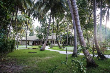 Palm Grove, Maldivler
