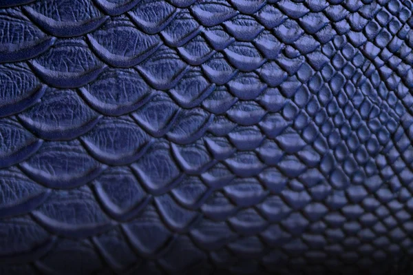 Background Texture Blue Python Leather — Stock Photo, Image