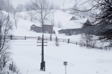 Kırsal kış manzara ağaçlar ve çit