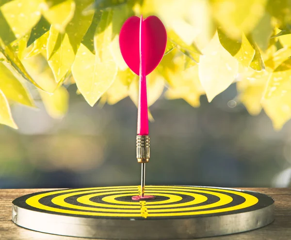 Red Arrow on the center of dart board on success concept Royalty Free Stock Images