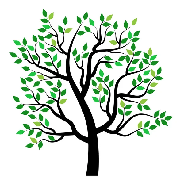Άνοιξη δέντρο με φύλλα — Διανυσματικό Αρχείο