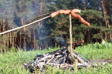 Orman sosis kızartma