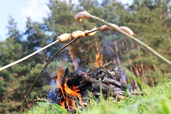 Forest sausage stick fire