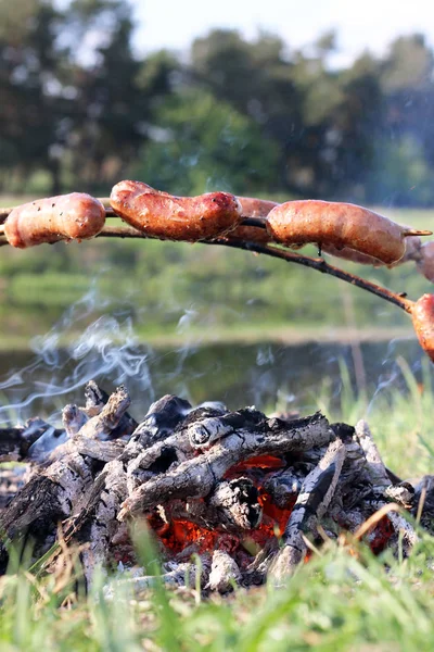 Sausage stick fire forest