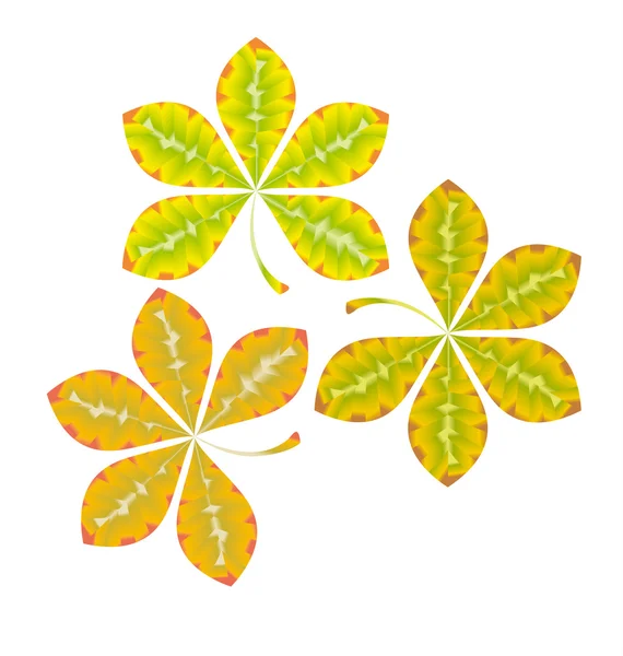 Kaštanové abstraktní stylizované pádu listy kartu šablony. podzimní moře — Stockový vektor