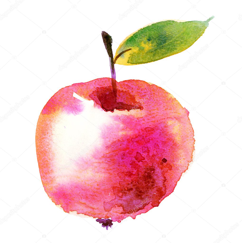 Watercolour apple fruit illustration. natural hand drawn seamles