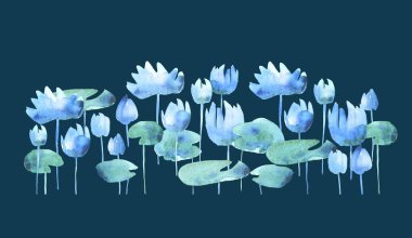 renk koyu arka plan üzerinde basit su lotus çiçek açan çiçekler. WA