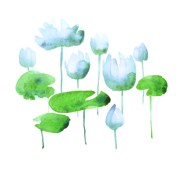 Fleurs de lotus d'eau blanche floraison. aquarelle dessinée à la main illust — Photo