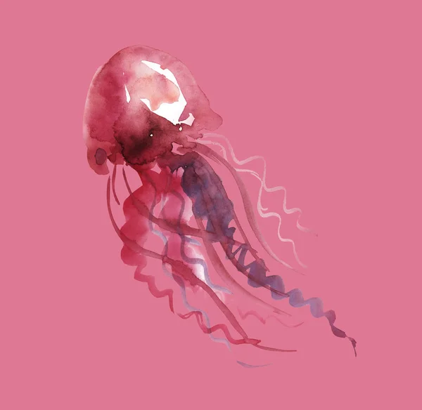 Piros medúza akvarell illusztráció. kézzel készített festmény grafika — Stock Fotó