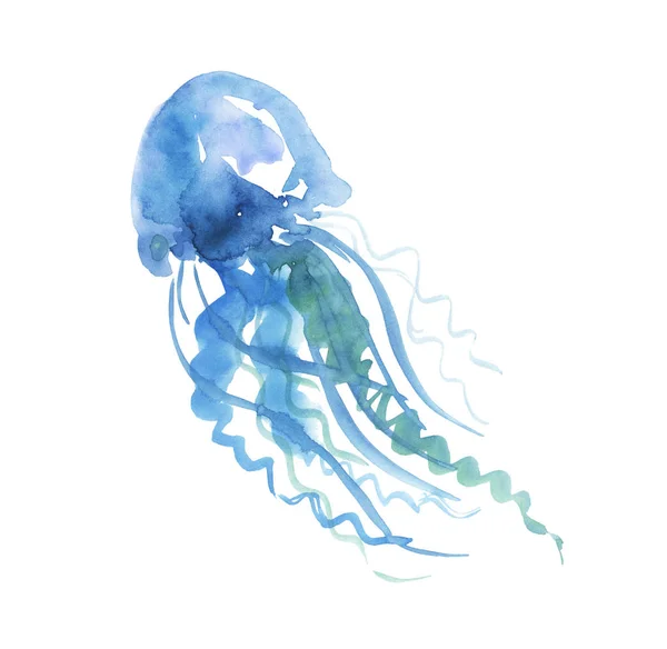 Isolated pale color tender jellyfish watercolor illustration. ha — Stock Photo, Image