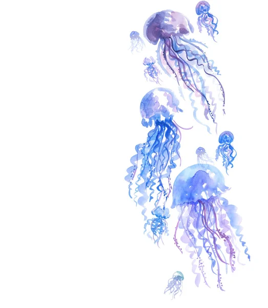 Isolated pale color tender jellyfish watercolor illustration. ha — Stock Photo, Image