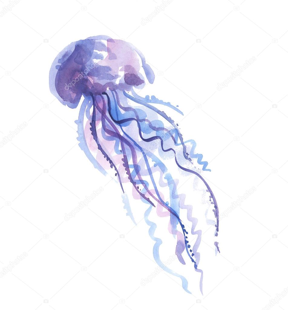 isolated pale color tender jellyfish watercolor illustration. ha