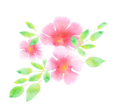 Beyaz arka plan üzerinde zarif ışık pembe çiçeği. soyut çiçek 