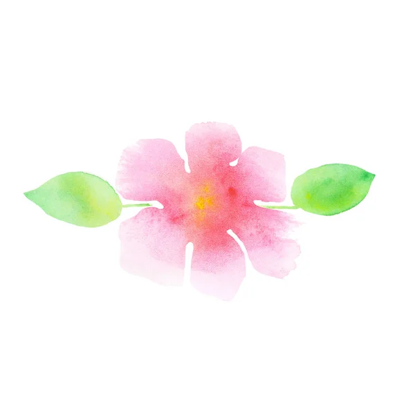 추상 꽃 수채화 그림입니다. 부드러운 장미빛 plumeria 플로리다 — 스톡 사진