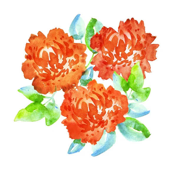 Carnation flower watercolor illustration. Orange peony hand pain