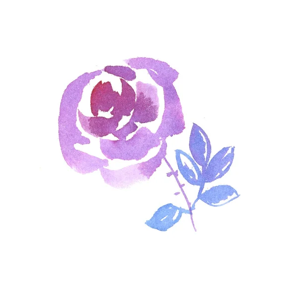 Декоративна рожева троянда намальована акварельна ілюстрація . — стокове фото