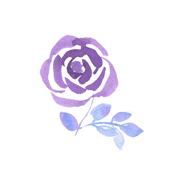 Rosa rosa decorativa mano dibujado acuarela ilustración . — Foto de Stock