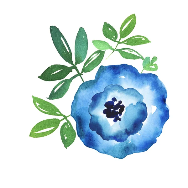 우아한 블루 꽃 손 수채화 그림을 그려. 간단한 난 — 스톡 사진
