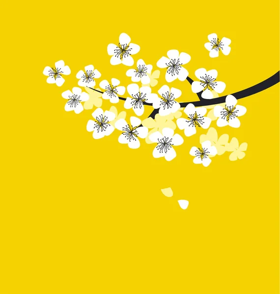 Rama de flor de sakura blanca sobre fondo amarillo soleado . — Archivo Imágenes Vectoriales