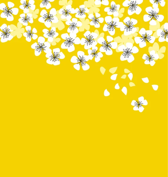White sakura blossom on sunny yellow background. — Stock Vector