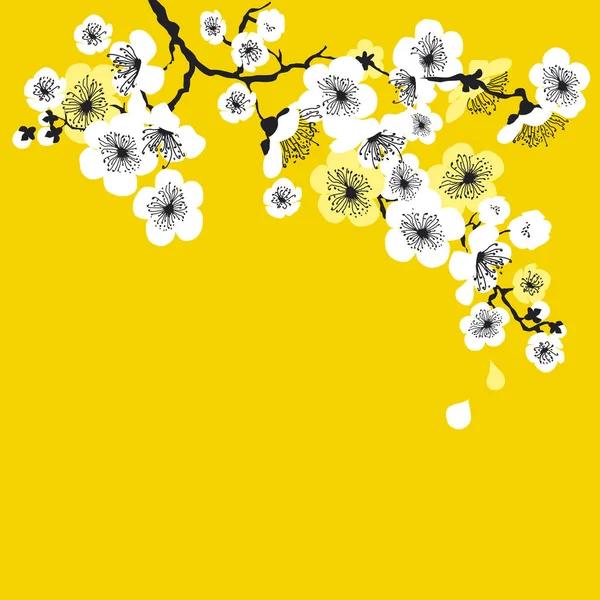 Sakura biały kwiat na słoneczny tło żółty. — Wektor stockowy