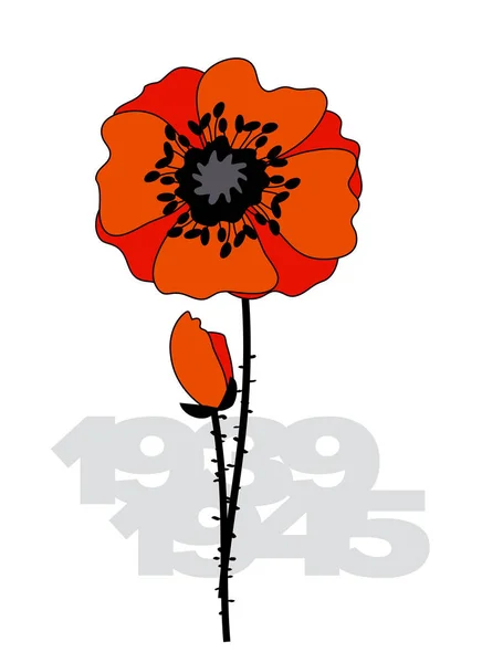 Cartaz de flor de papoula isolado. II ilustração da guerra mundial com flor de papoula e números de anos —  Vetores de Stock
