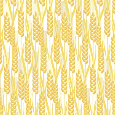 buğday altın tahıl Dikişsiz desen vektör çizim. yüzey tasarımı, ambalaj kağıdı, arka plan, dekoratif spike motifi grafiği yazdırmak