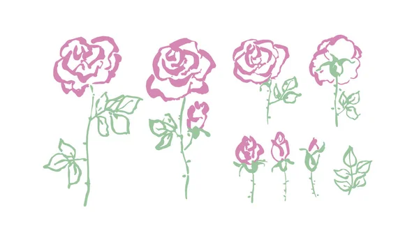 Boceto floral de rosa dibujado a mano en estilo moderno y malhumorado. Concepto pintado rosa patrón de flores para tarjeta, invitación, decoración, diseño de la superficie . — Vector de stock
