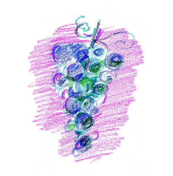 Bunch of wine grape concept color pencil image. Sketch style hand drawn image.