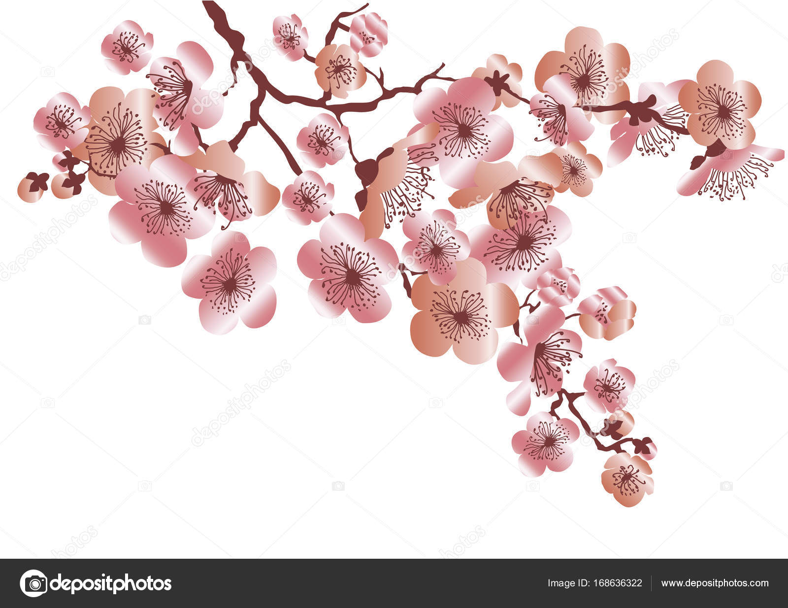 Illustrazione vettoriale di colore oro rosa sakura blossom mazzo gara di disegno di celebrazione elegante