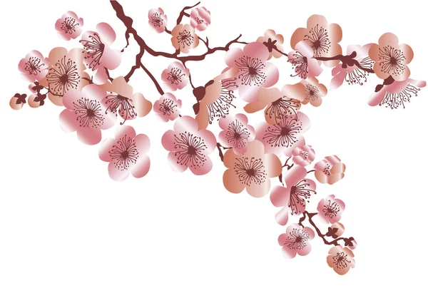 Illustration vectorielle de bouquet de fleurs de sakura de couleur or rose. tendre élégant style célébration conception de fleurs décoratives — Image vectorielle
