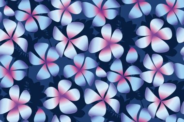 Gece plumeria basit zarif stili çiçeklenir. Soyut dekoratif frangipani çiçek vektör çizim. Seamless modeli. Repitable motifi