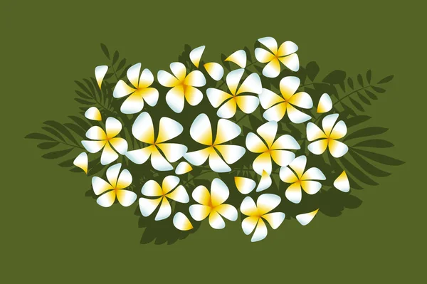 Bílé květy plumeria v jednoduchém elegantním stylu na sytě zelených listech. Abstraktní dekorativní keře květinové vektorové ilustrace pro kartu a Pozvánka — Stockový vektor