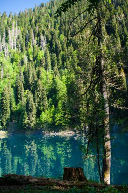 Dağ gölü yolculuk