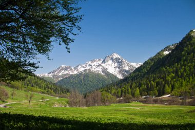    Seyahat bahar Abhazya