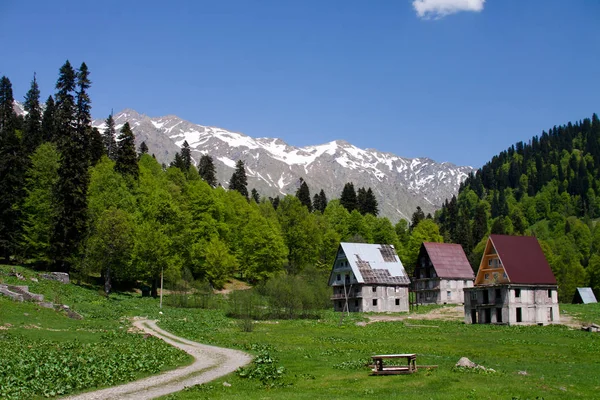 Viagem Primavera Abcásia — Fotografia de Stock