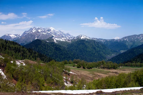 Reisefrühling Abchasien — Stockfoto