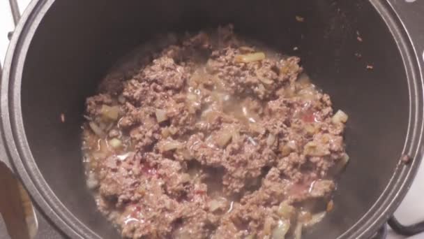 Soğan ve ham sığır eti kıyma, yağda tavada kızartılmış domuz eti — Stok video