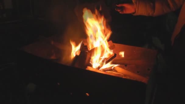 Oheň je osvětlena v grilu, hranolky a palivového dříví — Stock video