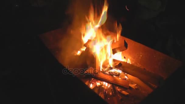 Le feu est allumé dans le gril, les copeaux et le bois de chauffage — Video