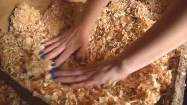 Una mujer hace un nido para los pollos en el gallinero — Vídeo de stock