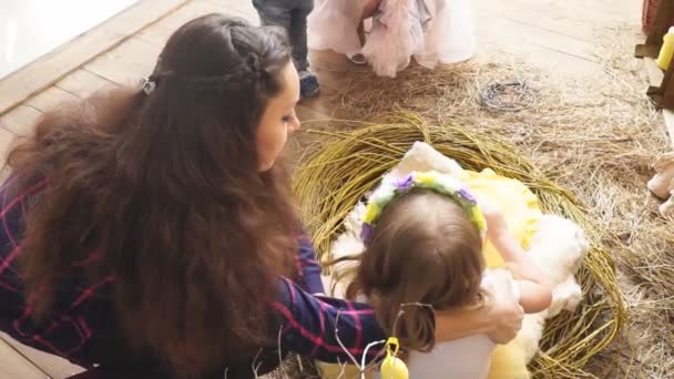 La Madre pone a la hija en el nido para una sesión de fotos — Vídeo de stock