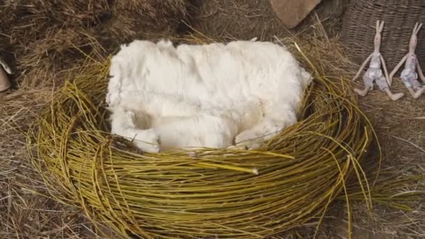 Žlutá hodit polštář v dekorativní hnízdo — Stock video