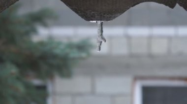 Damla su damlama Icicle erir, Bahar