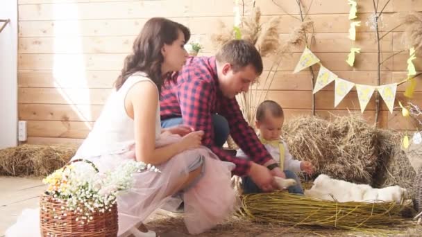 Familj Med Son Påsk Photoshoot Sittande Son Och Chuck För — Stockvideo