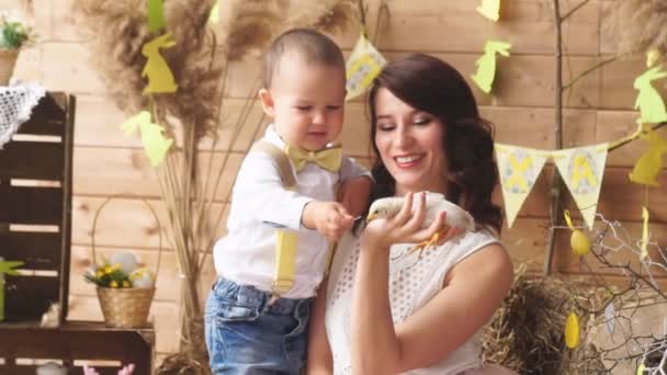 Малыш и его мама кормят цыпочку на фотосессии — стоковое видео