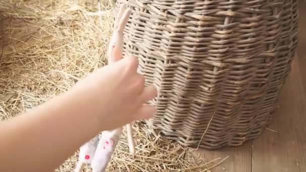 Bambola fatta in casa mette la mano per uno scatto fotografico — Video Stock