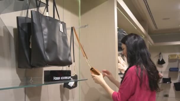 ワードローブ バッグの美しいモデルの選択 — ストック動画